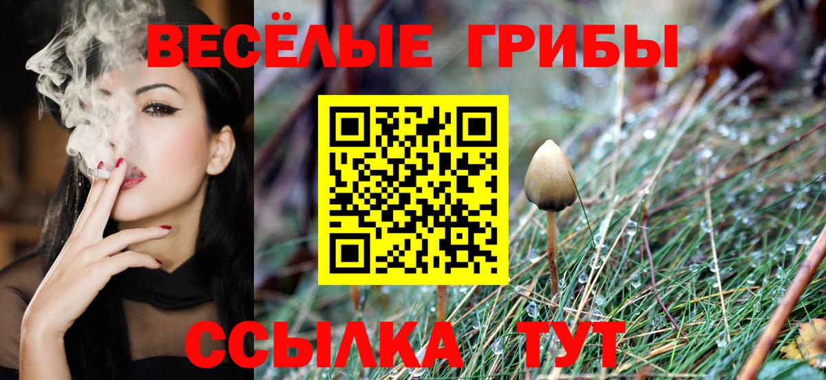 цена наркотик  Вход с VPN  Полысаево  Псилоцибиновые грибы Cubensis 