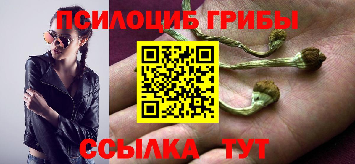 Псилоцибиновые грибы мухоморы Полысаево